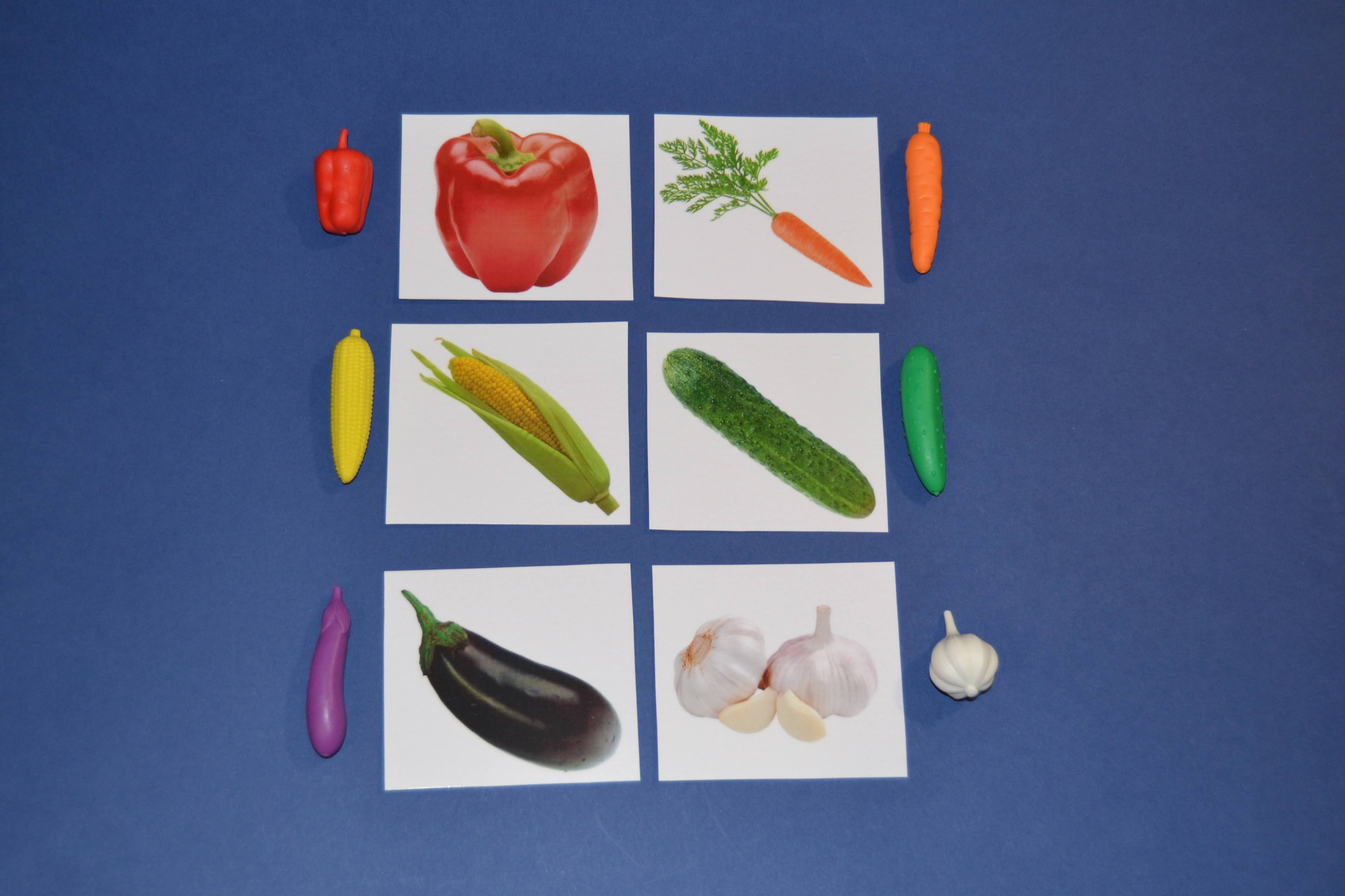 EduBox "Legume"