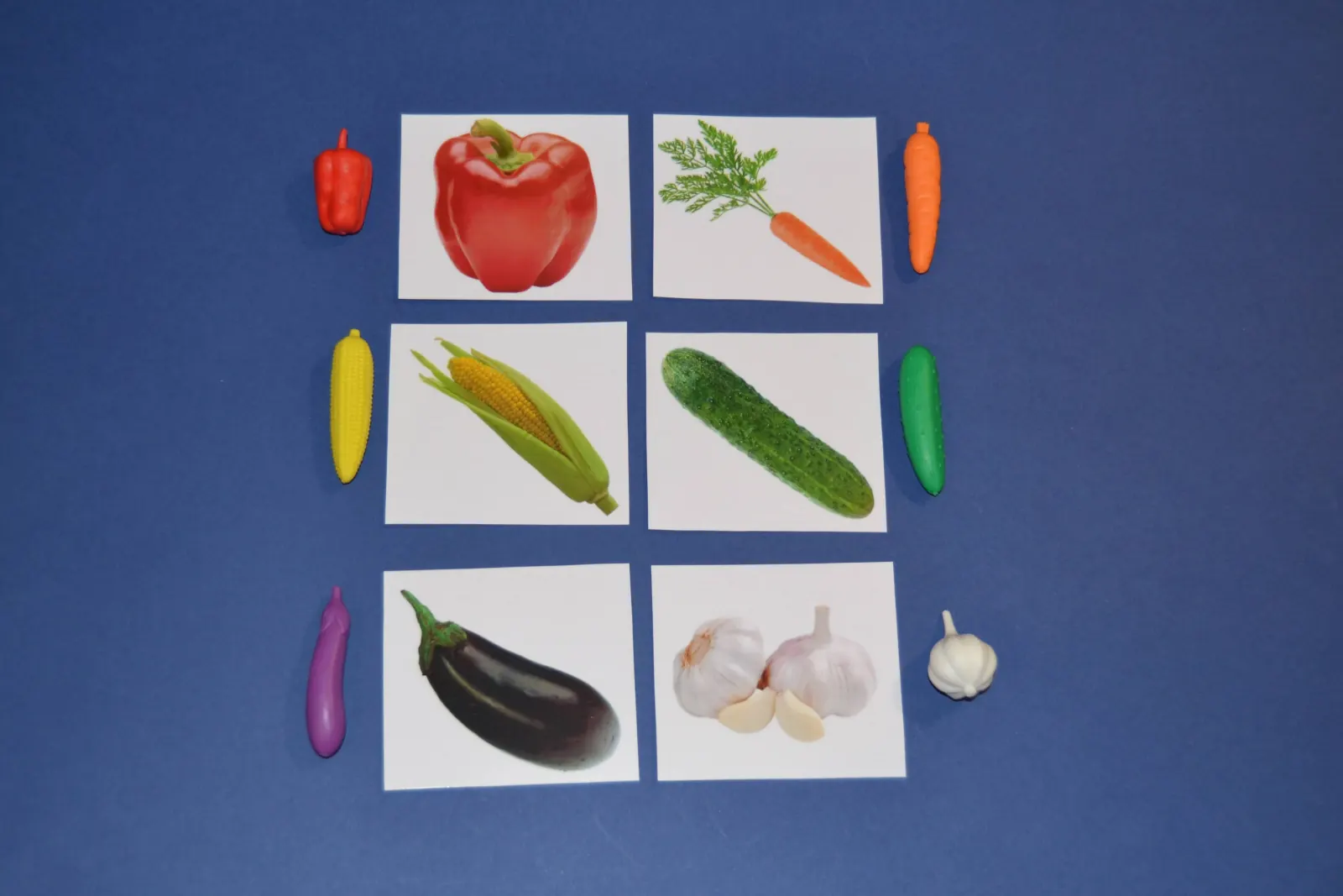 EduBox "Legume"