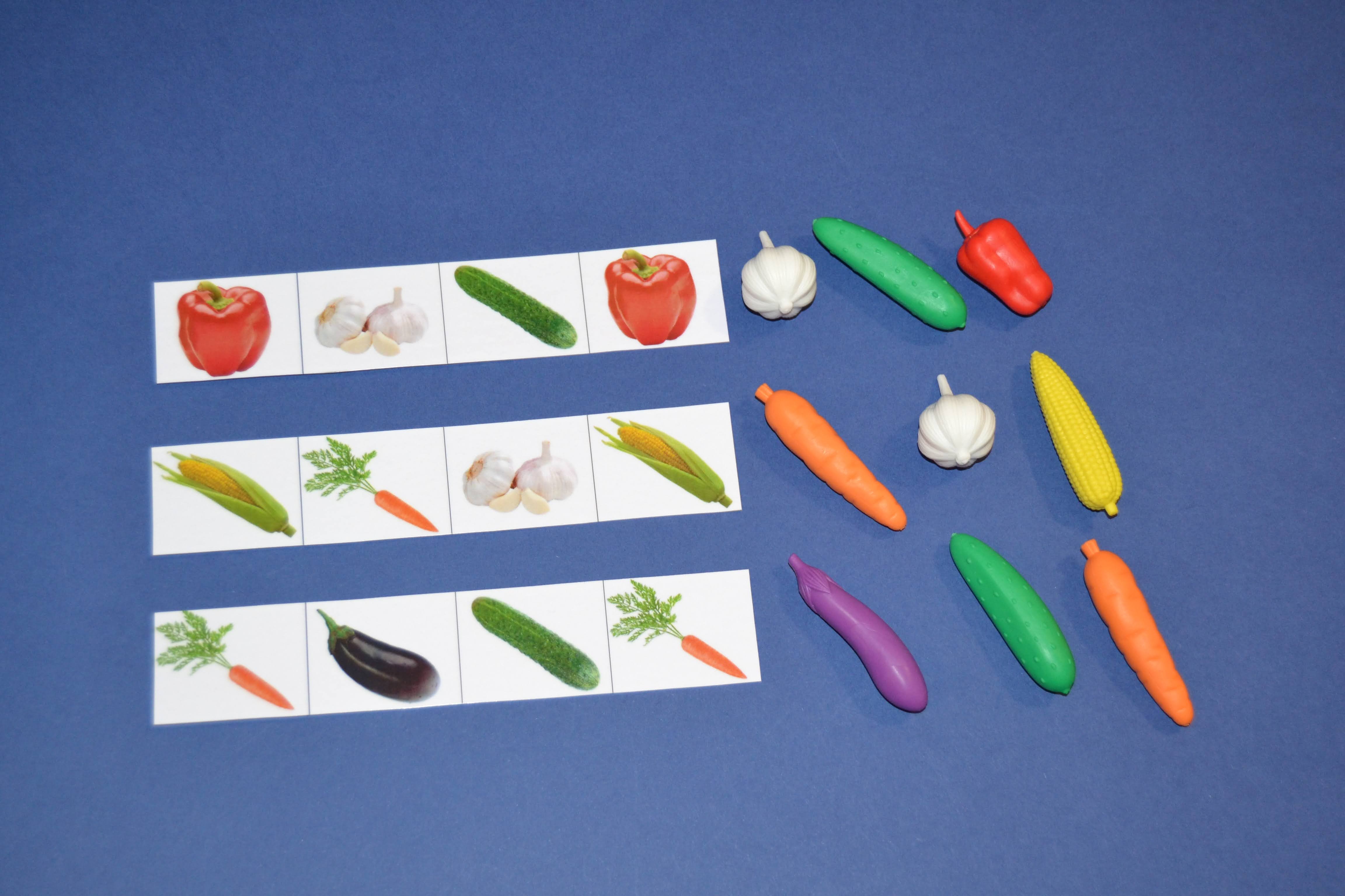 EduBox "Legume"