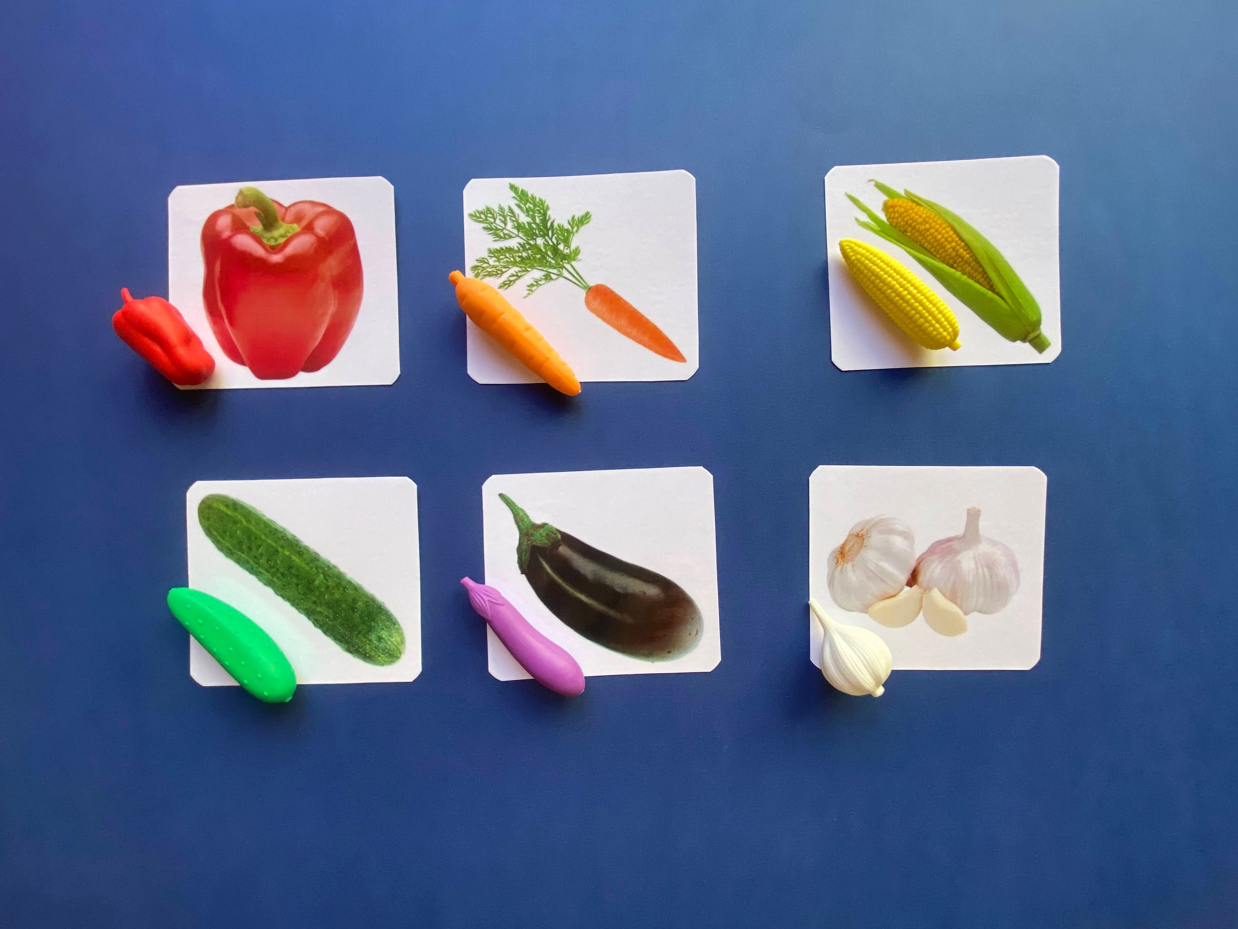 EduBox "Legume"