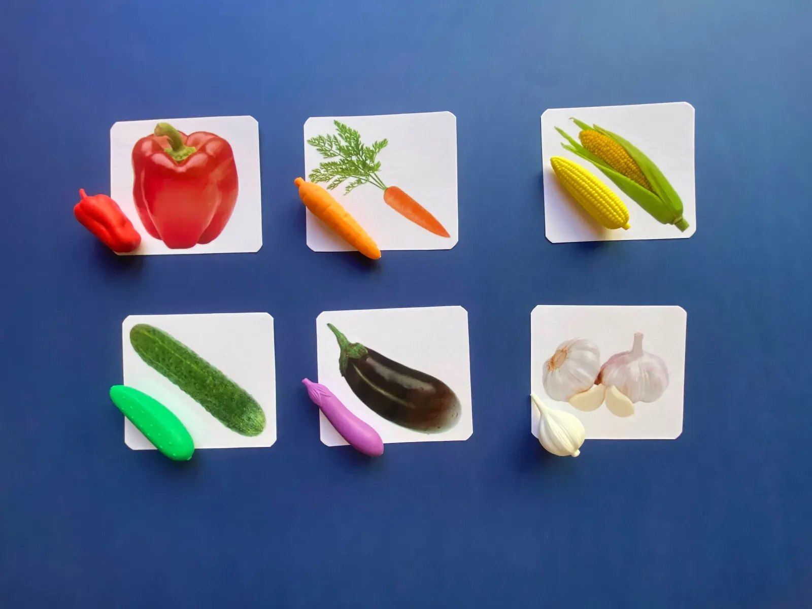 EduBox "Legume"
