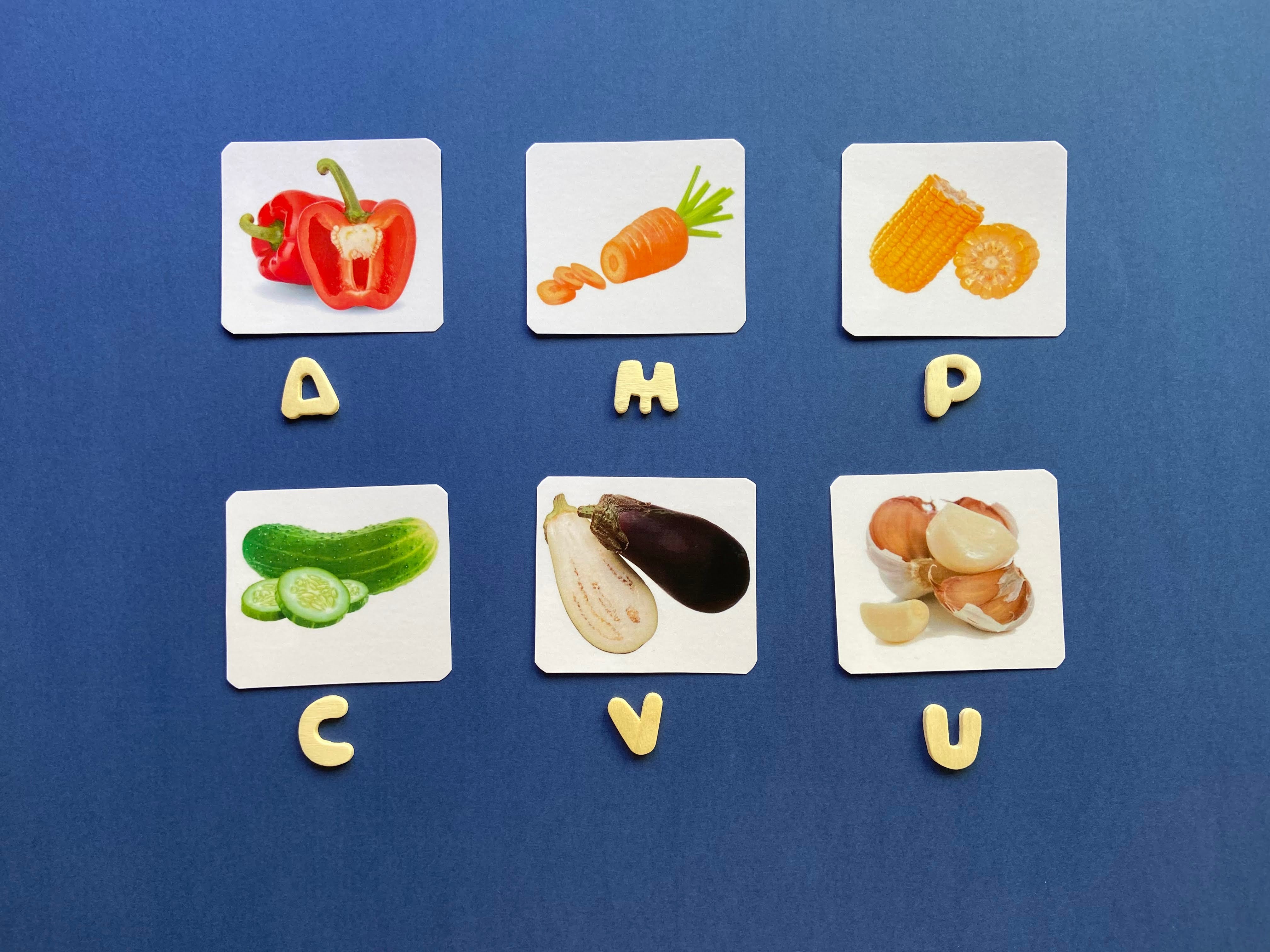 EduBox "Legume"