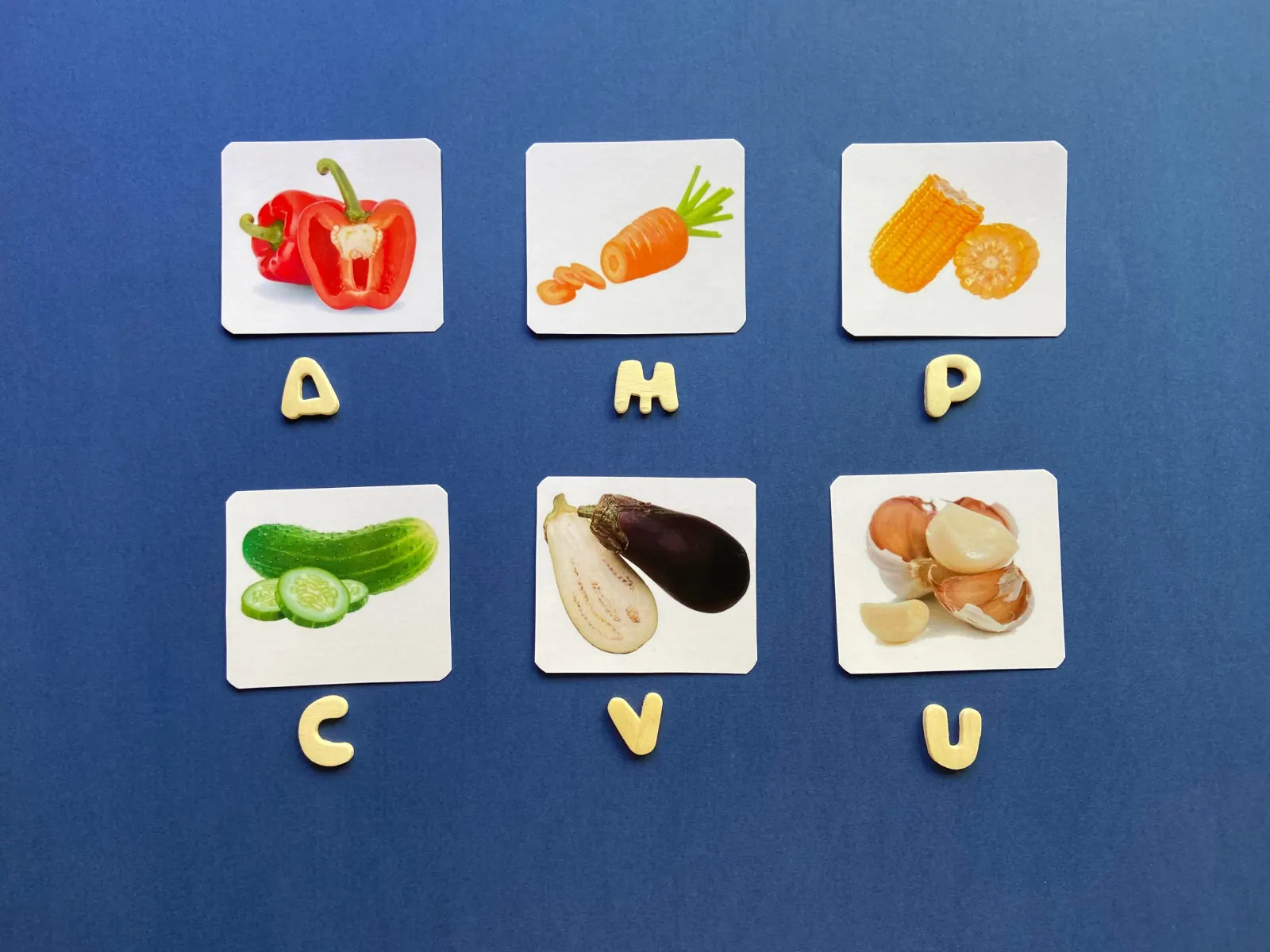 EduBox "Legume"