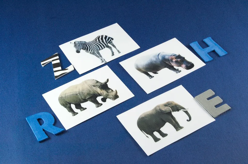 Litera de început  - animale sălbatice
