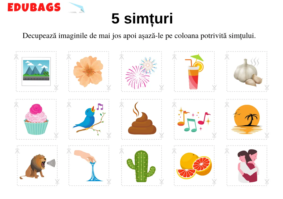 Cele 5 simțuri - resursă printabilă